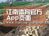 种植基地七(图1)